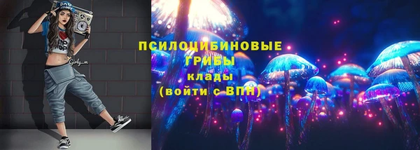 марки nbome Каменка