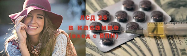 хмурый Каменногорск