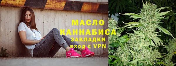 хмурый Каменногорск